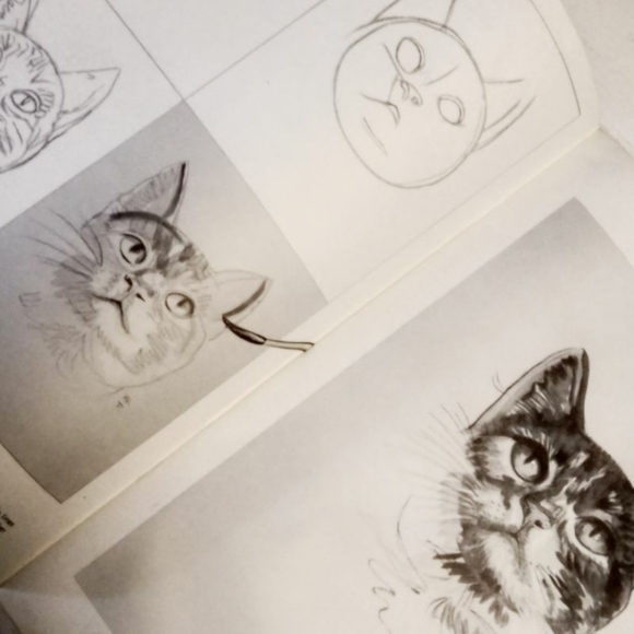 Walter Foster How to Draw Cats Vintage book - Picture 3 of 3